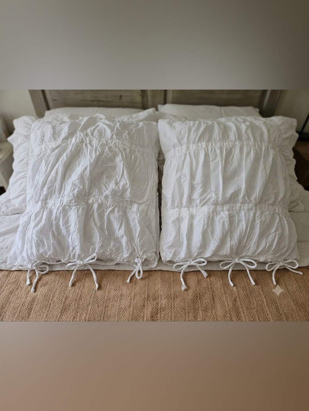 Pottery Barn Euro Sham Set
